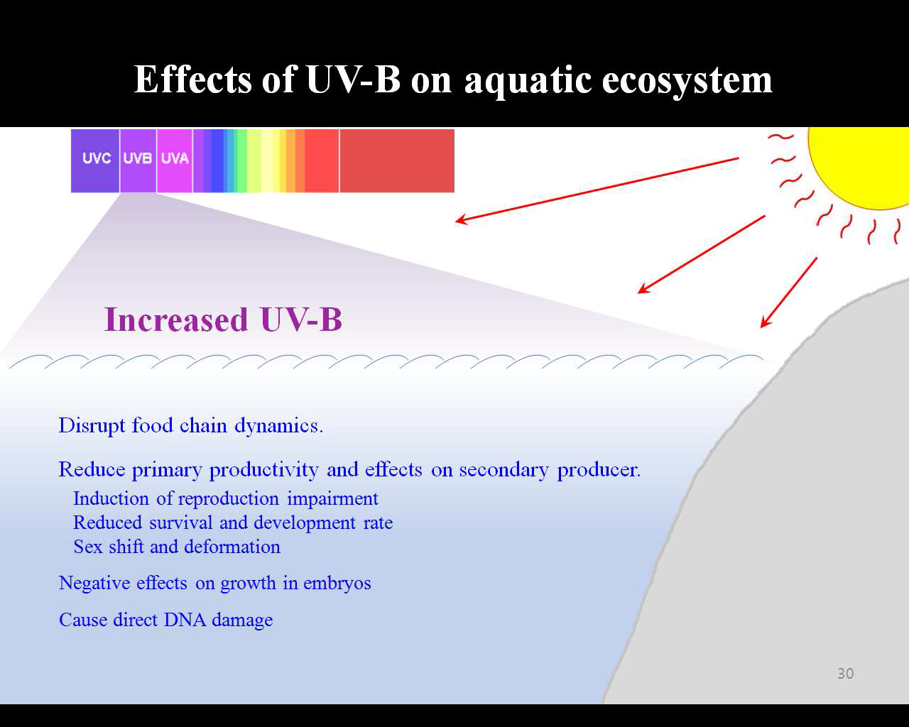UV-B가 해양생태계에 미치는 영향