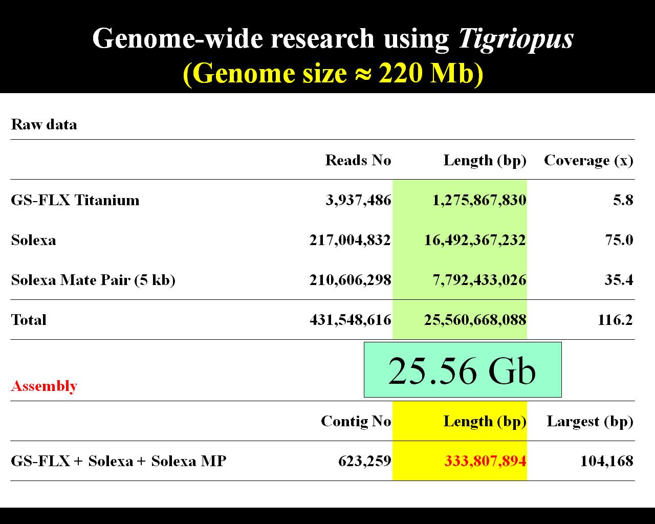 요각류 Tigriopus japonicus genome sequencing 정보