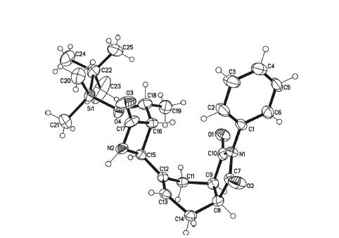 Projection of a molecule of compound 7l as determined by X-ray crystallography