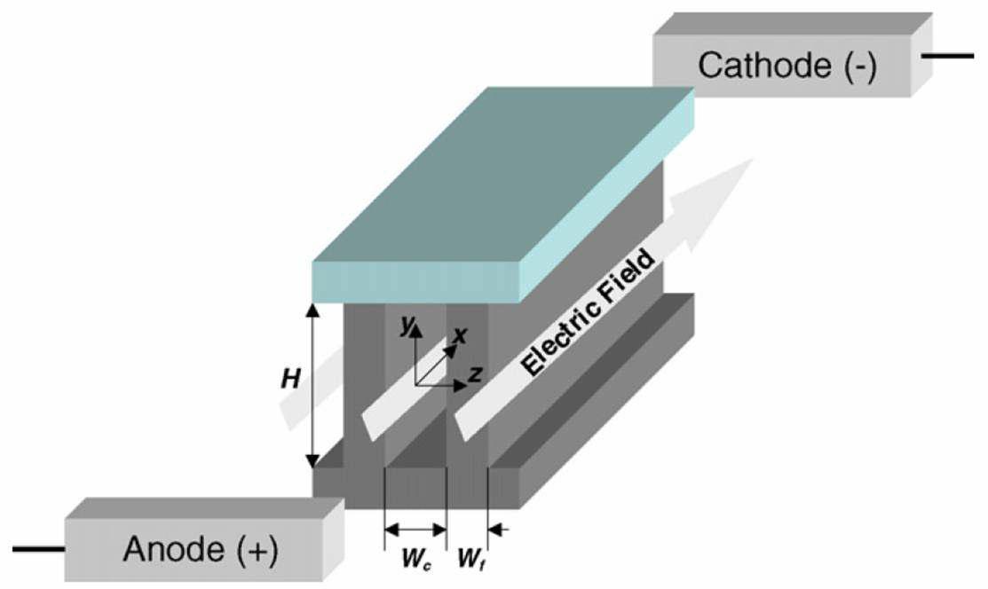 Microchannel 내의 Electroosmotic Flow