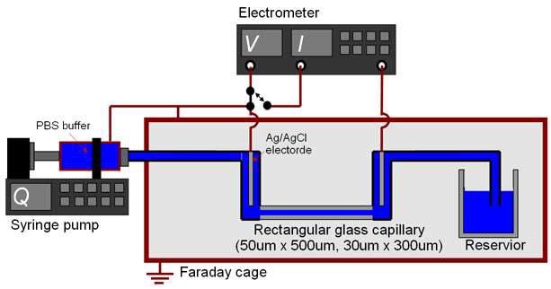 Electrokinetic flow meter 개념 검증 실험 장치의 개략도