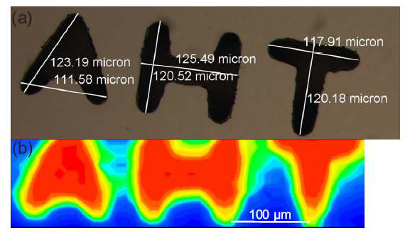 (a) Optical image (b) Two-dimensional SFIM micrograph