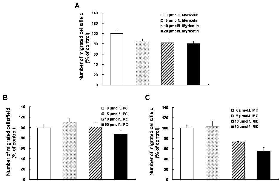 Effect of myricetin, pelargonidin chloride, or malvidin chloride on migration of DU145 human prostate cancer cells.