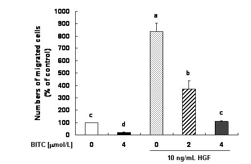 Effect of BITC on basal and HGF-induced migration of 4T1 mouse breast cancer cells.
