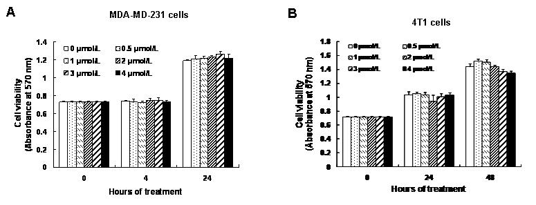 Effect of BITC on the viability of (A) MDA-MB-231 cells and (B) 4T1 cells.