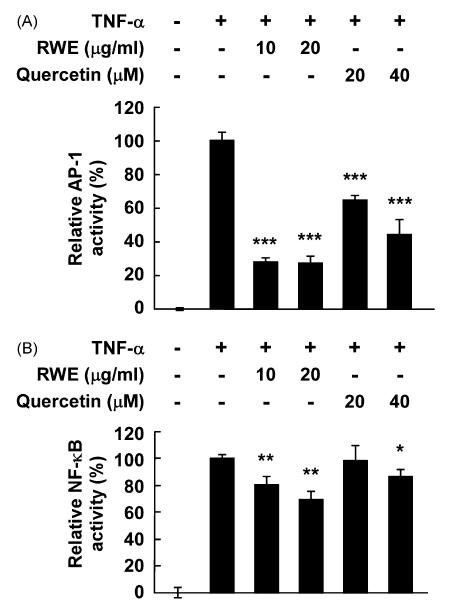 Effects of RWE and quercetin on TNF-α-induced JB6 P+ cell migration.