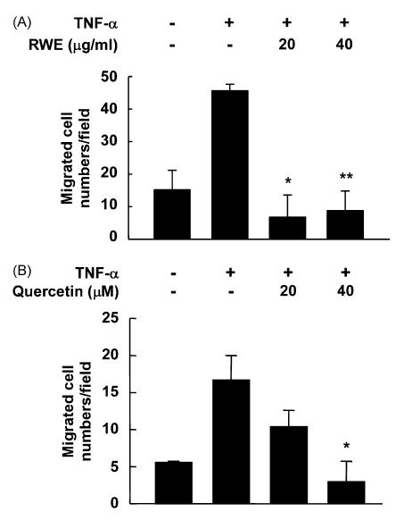 Effects of RWE and quercetin on TNF-α-induced transactivation of AP-1 and NF-κB in JB6 P+ cells.