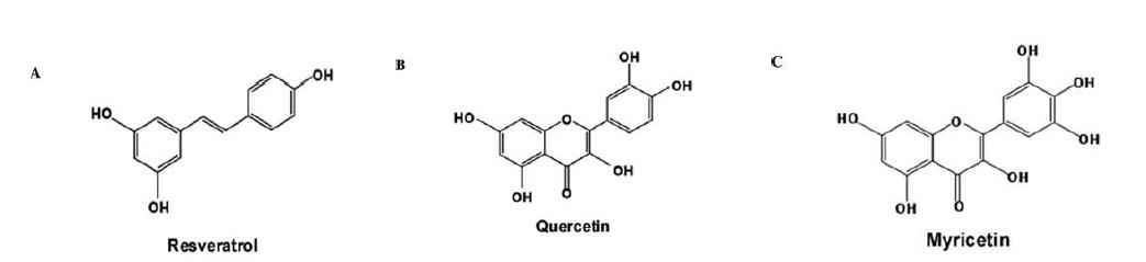 Chemical structures of resveratrol (A), quercetin (B), and myricetin (C).