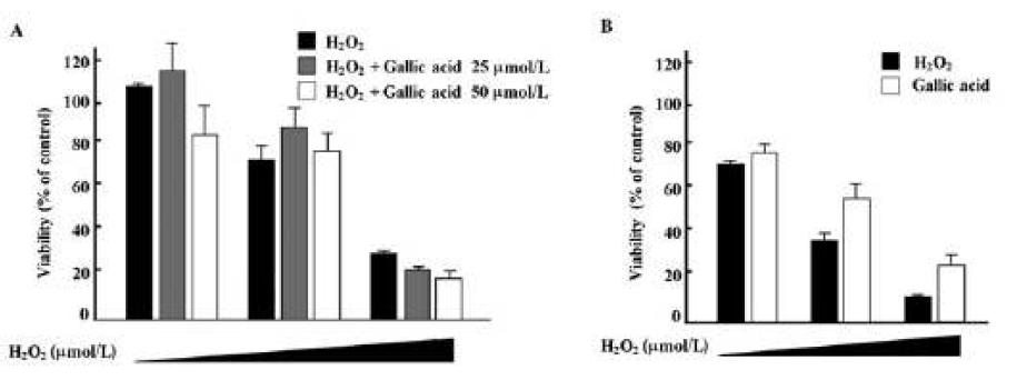 Gallic acid does not protect against H2O2-induced PC12 cell death.