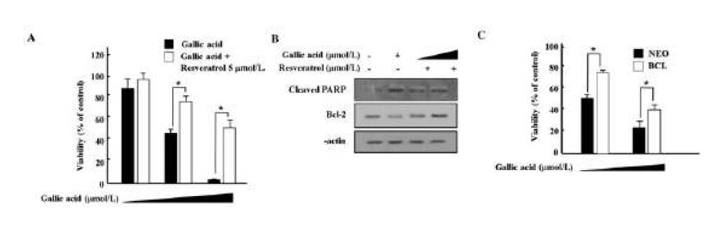 Resveratrol protects against gallic acidinduced PC12 cell death through the poly (ADPribose) polymerase (PARP) cleavage and downregulation of Bcl-2.