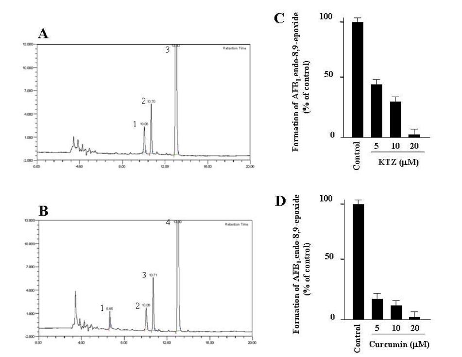 Metabolism of AFB1 with human liver microsomes.