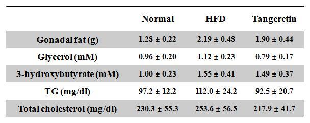 고지방식이 동물에서 Tangeretin의 효과 Values are mean¡ ± SE. *p<0.05 vs. normal, **p<0.05 vs. HFD