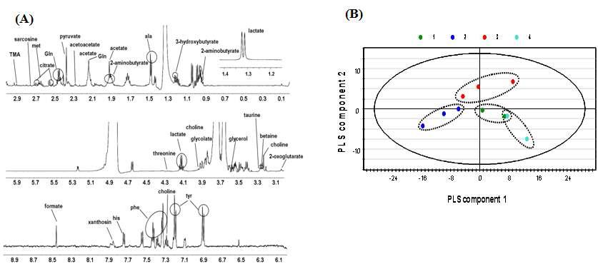 BL67 표준제조 청국장 시료를 섭취한 장염증 유발 mouse 혈장시료의 1H-NMR spectra assignment (A)와 PLS-DA scatter plot (B)