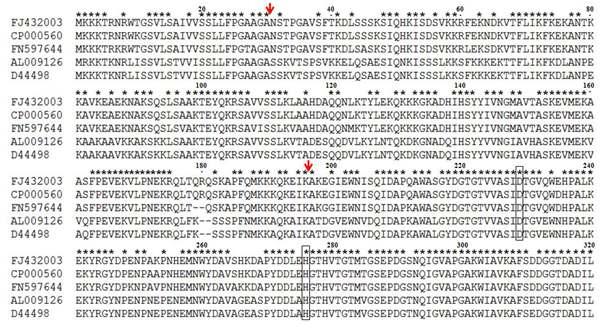 Amino acid sequence alighment of Bpr86-1 with other homologous proteins. FJ432003 (bpr86-1), CP000560 (B. amyloliquefacien FZB42), FN597644 (B. amyloliquefaciens DSM7), AL009126 (B. subtilis 168), D44498 (B. subtilis (natto) No. 16).