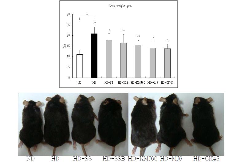 Body weight gain of mice.