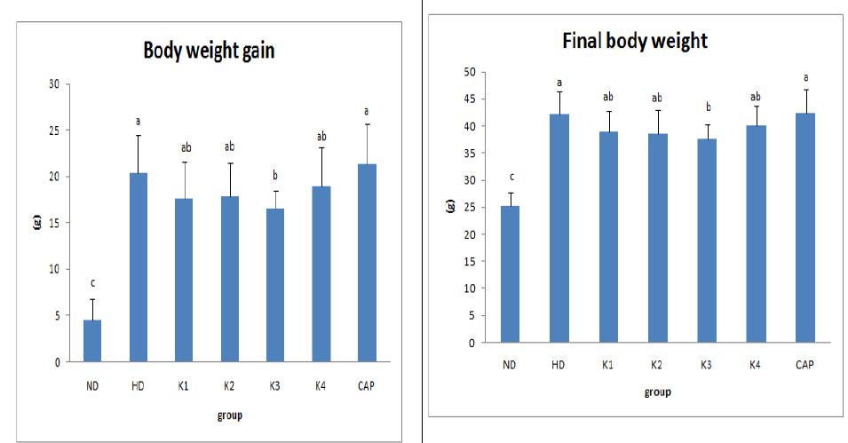 Final body weight and body weight gain of mice.