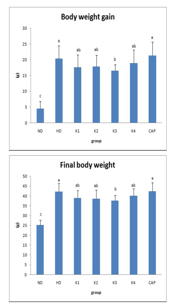 Final body weight and body weight gain of mice.