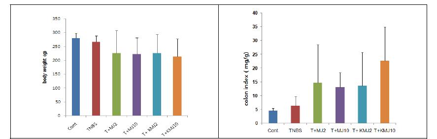 메주의 TNBS에 의한 대장염증의 보호효과