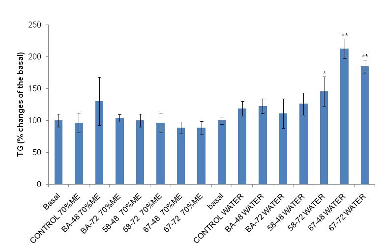 Trig;yceride accumulation in 3t3-L1 adipocytes