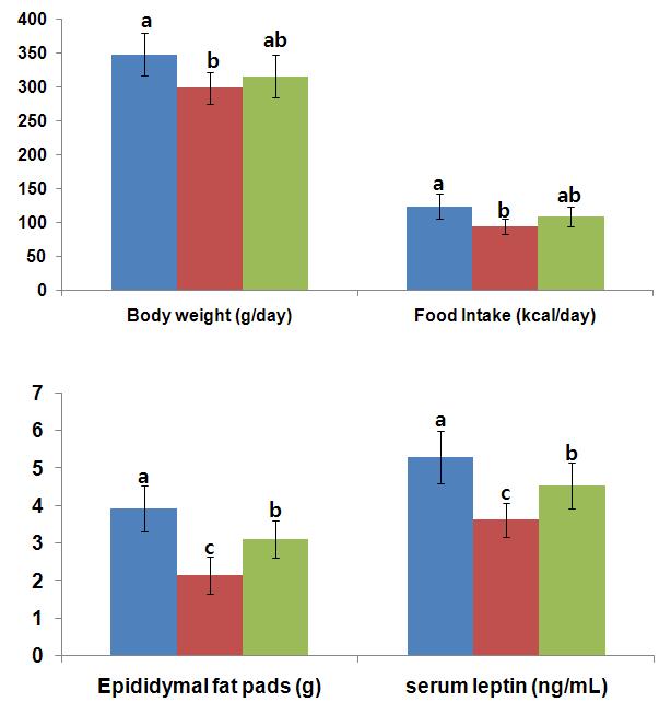 Body weight, epididymal fat pads, food intake and serum leptin levels at the end of experiment.