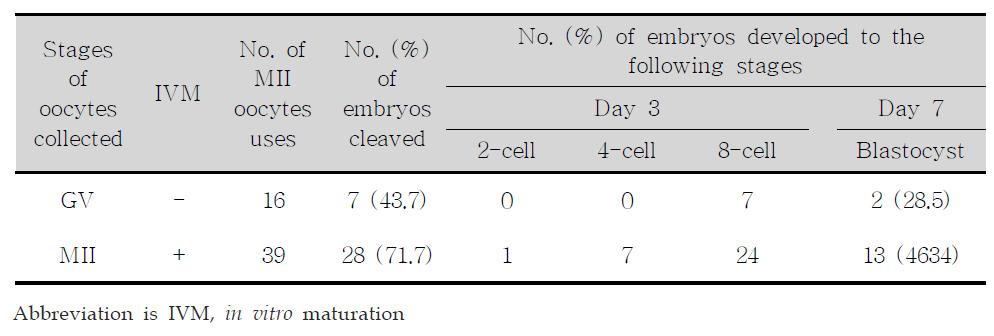 체내성숙 및 체외성숙난자의 체외수정률 및 체외 발달률