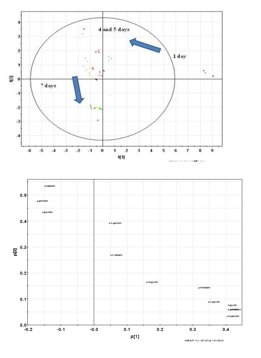 Score plot (A) and PCA loading (B) of isoflavone profile in cooked soybean according to fungal fermentation period.