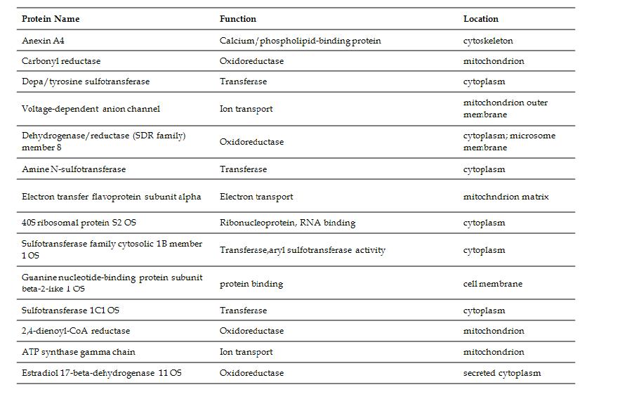 Identification of intestinal proteins bound by soy protein as analyzed by LC-MSMS