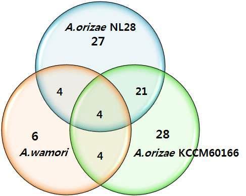 Fig. 96. Overlapping proteins between the identified proteins of A. oryz ae strainsshowed significantly higher numbers than those between A.wamori and A.oriz ae NL28, or A. awamori and A.oriz ae K CCM60166.