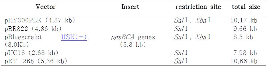 Vectors used for the cloning of pgsBCA