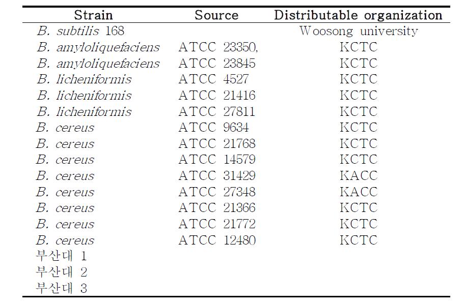 Microorganisms used for RAPD-PCR