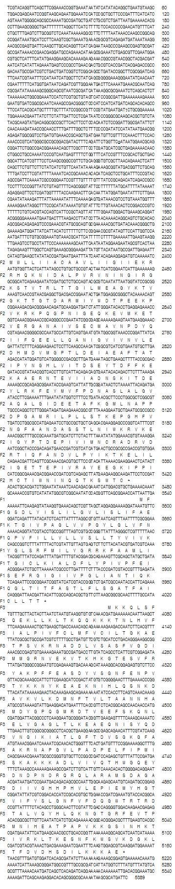 Nucleotide sequence of 5.3 kb region encompassing pgsBCA