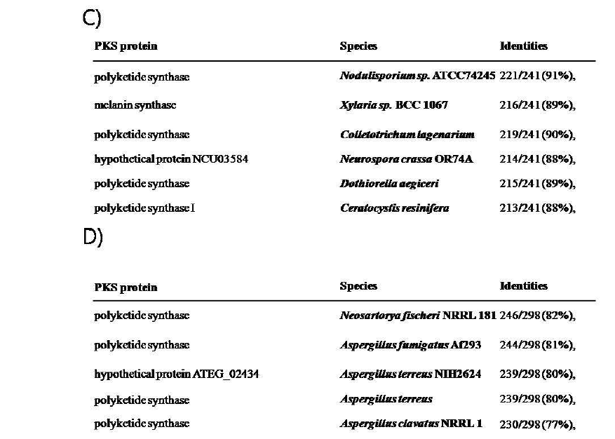 Identification of NR K S domain sequence and homology with other polyketide synthase sequence.