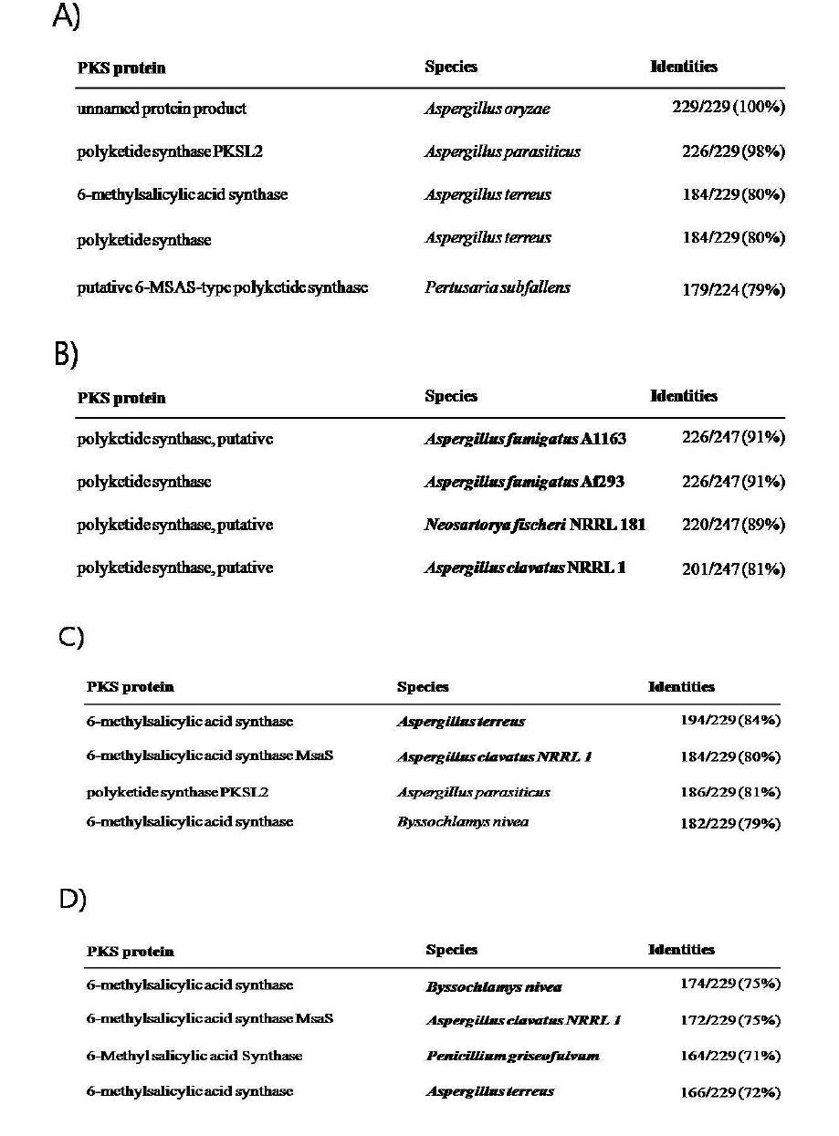 Identification of PR KS domain sequence and homology with other polyketide synthase sequence.