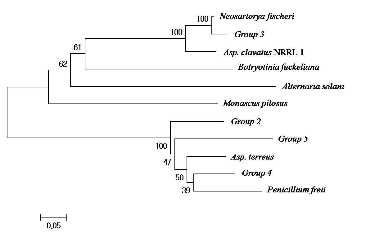 Neighbor-joining phylogenetic tree of PR KS domain PKS inferred by Neighbor-joining method