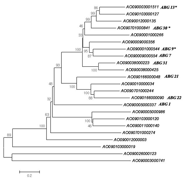 Phylogenetic tree of putative β-glucosidases gene, main targeted genes have a apostrophe point