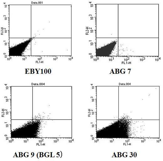 FACS analysis of yeast surface displayed enzymes.