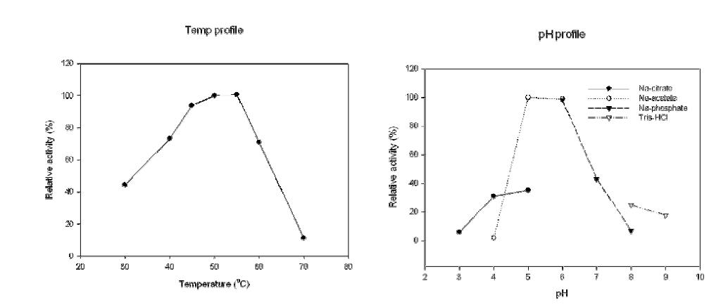 Effect of temperature on displayed ABG 13 activity in a 50 mM sodium acetate pH 5.0 and effect of pH on displayed ABG 13 activity at 50 ℃.