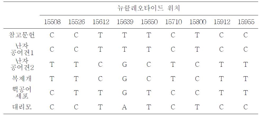 복제 푸들의 미토콘드리아 DNA 염기 서열 분석