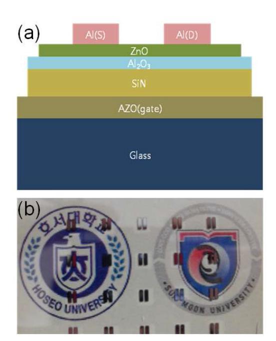 본 연구에서 개발된 ZnO 기반의 TFT에 대한 (a) 단면도와 (b) 윗면 사진; W = 2000 μm, L = 200 - 300 μm