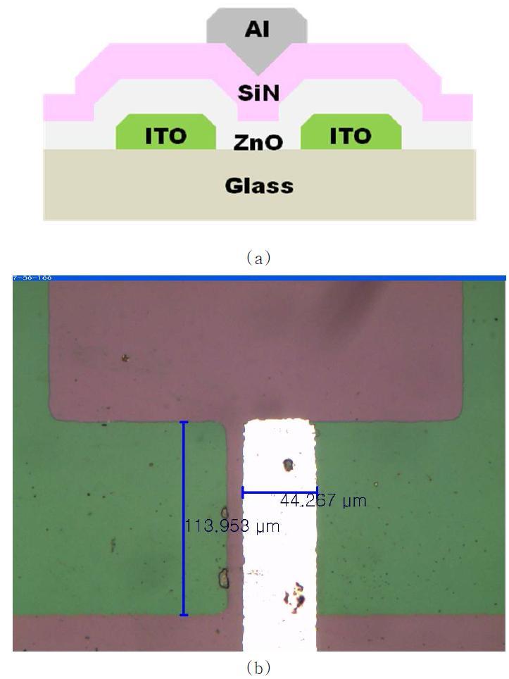 본 연구에서 개발된 ZnO 기반의 TFT에 대한 (a) 단면도와 (b) 윗면 사진; W = 100 μm, L = 50 μm