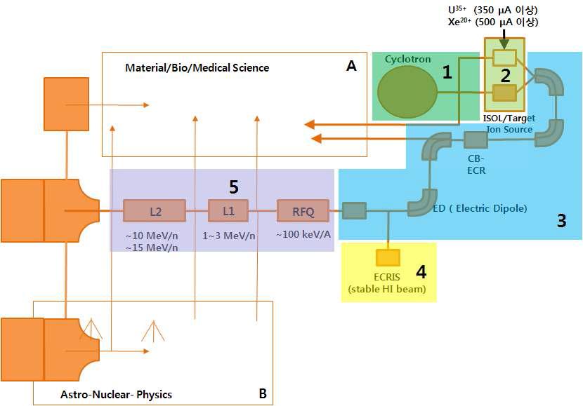 KoRIA ISOL 가속기 빔 라인의 전반적 배치