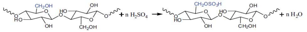 Surface modification of nanocellulose treated with H2SO4