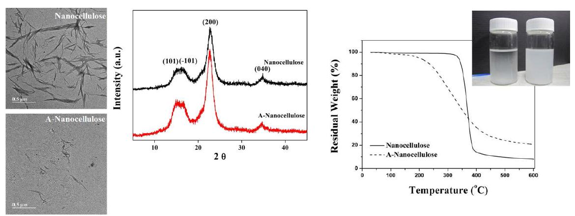 TEM images, XRD analysis, and TGA thermograms of nanocellulose treated with H2SO4