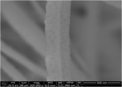 SEM image of zirconia nanofibers after sintering at 1000℃