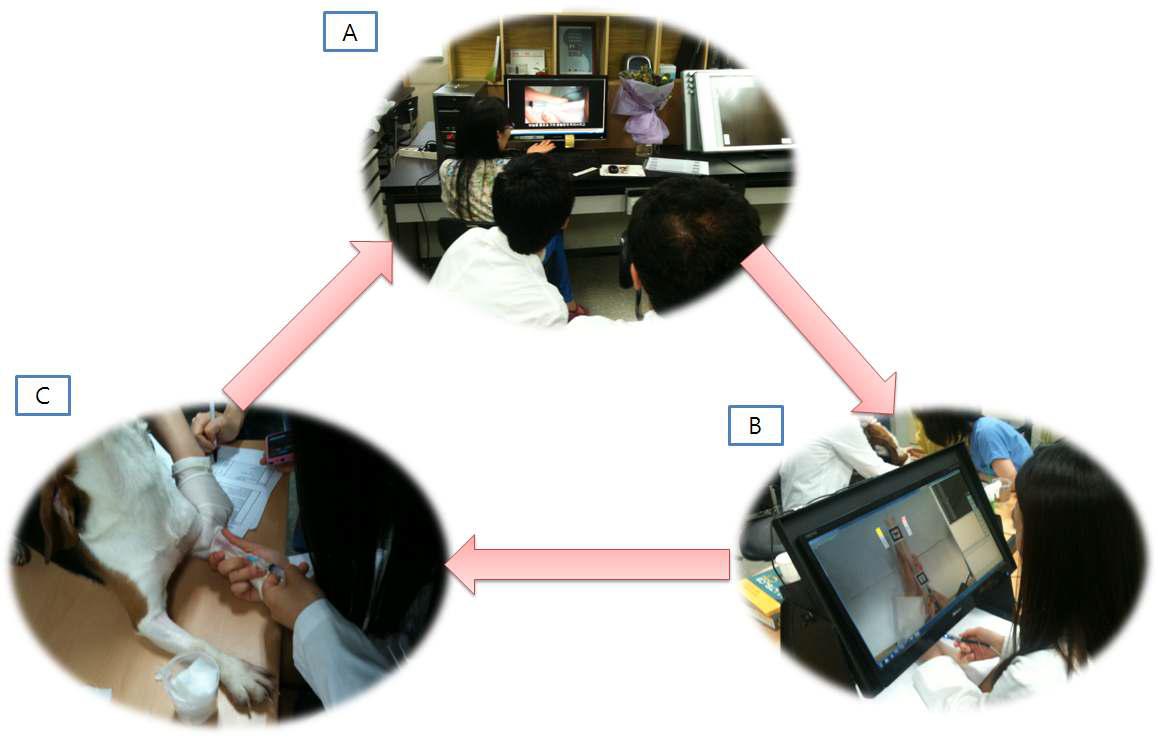 정맥 주사 실험 과정 : (A) 사용자 교육, (B) AR based Haptic Work Bench를 사용한 훈련 시뮬레이션, (C) 실제 비글견에 대한 정맥 주사 실험 장면