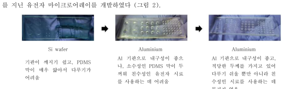 소프트리소그라피를 이용한 미세구덩이 구조의 칩