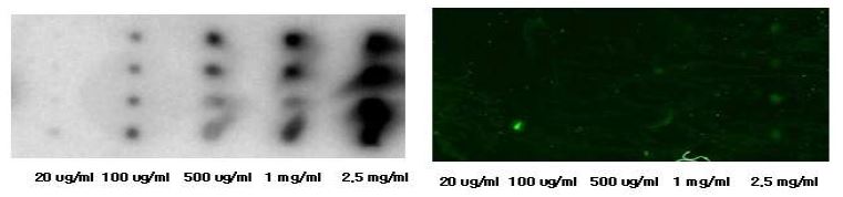 Fig . 65. Microarry를 이용하여 집적한 기질 농도