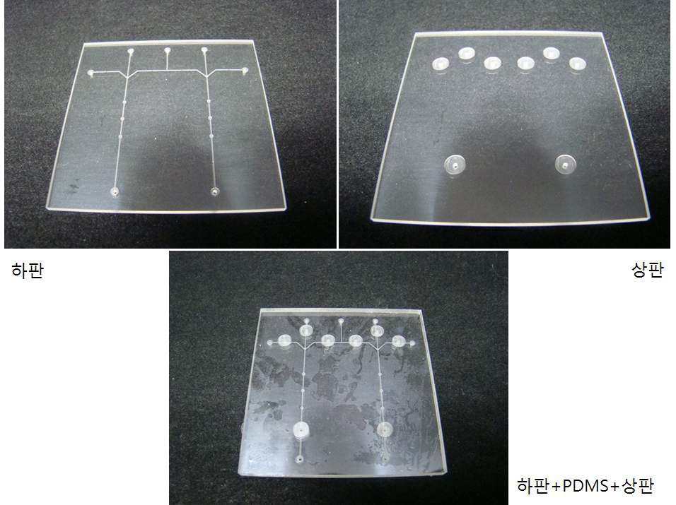 Fig. 84 밸브 삽입용 COC 칩 실제 사진