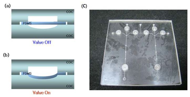 Fig. 85. 제조된 COC 칩과 PDMS를 이용한 밸브 그림