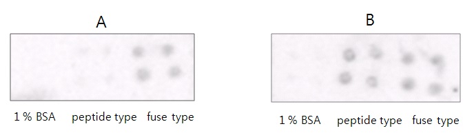 Fig. 93. A: Normal 마우스혈청으로부터 kinase 활성 측정, B: 대장암종 혈청으로부 터 kinase 활성 측정